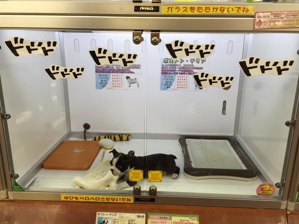 ジョジョ仕様