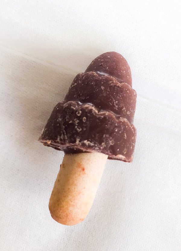 森のチョコの木