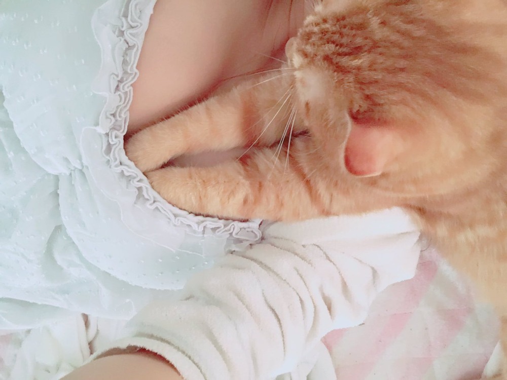 水月桃子