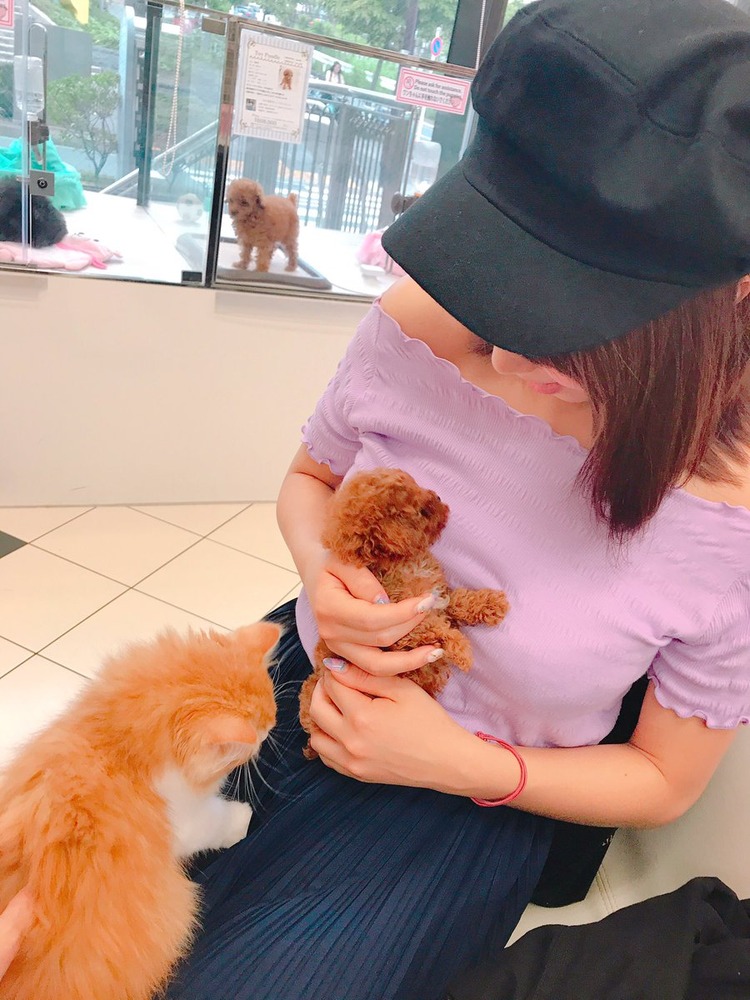 犬童美乃梨