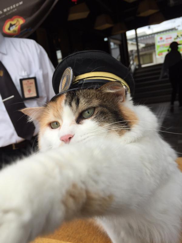 駅長たま