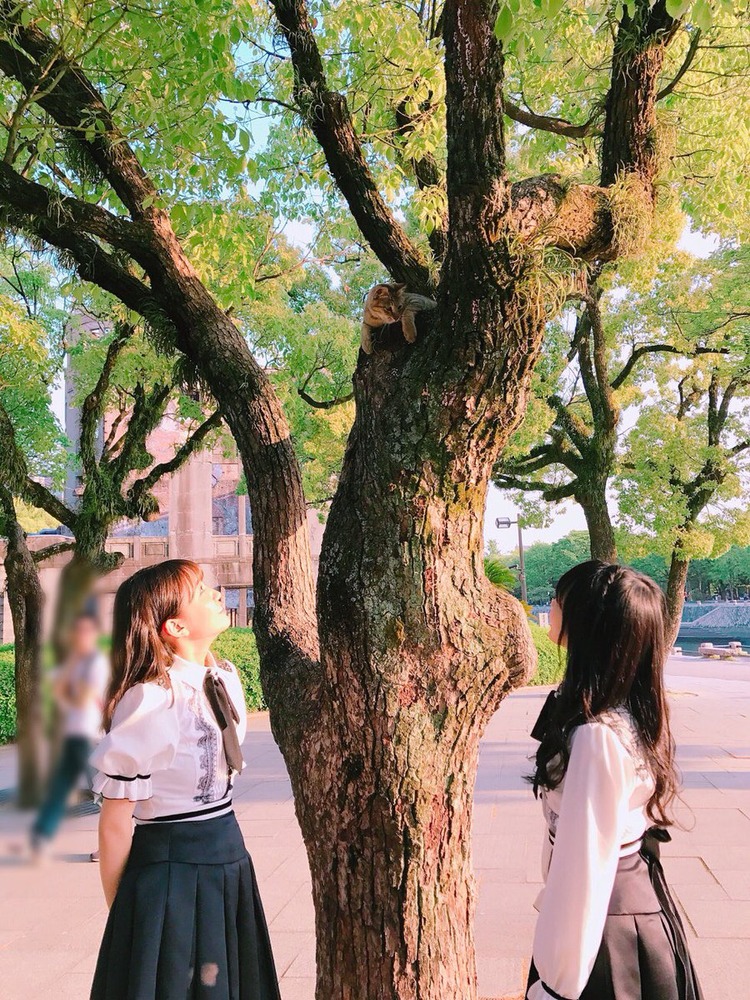 向井地美音