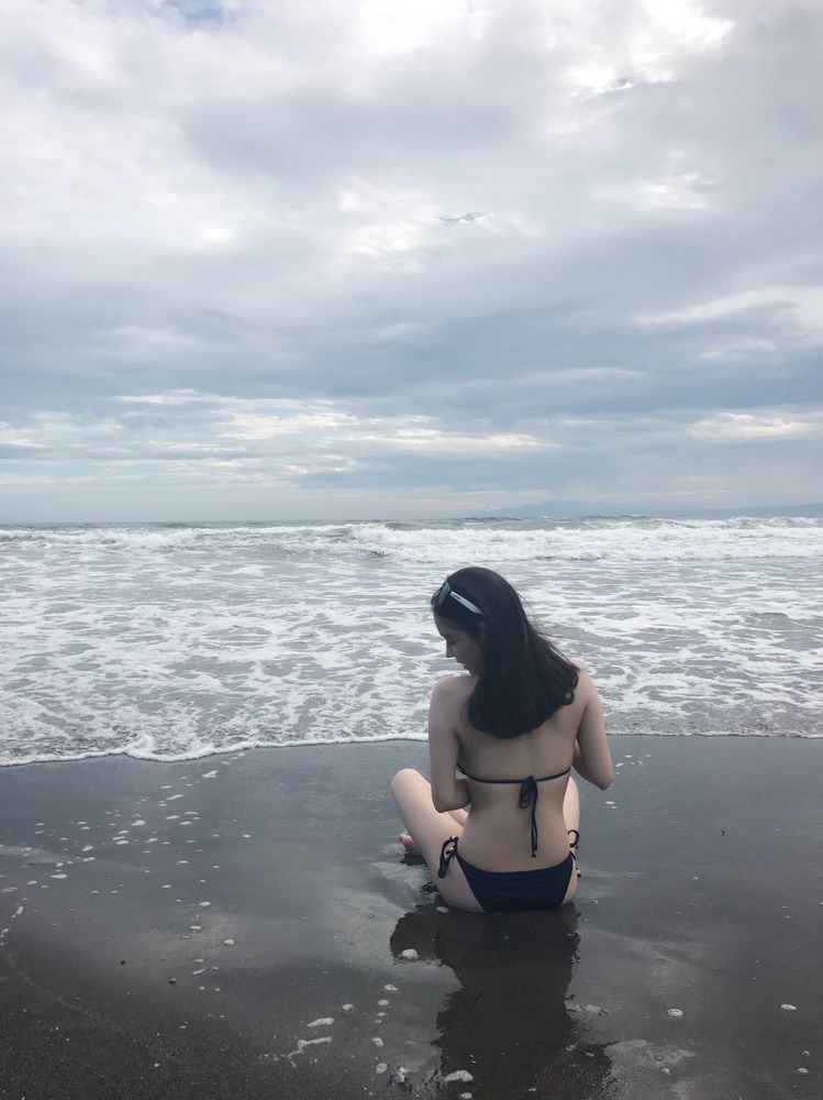 帆春