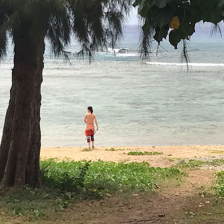 大島優子
