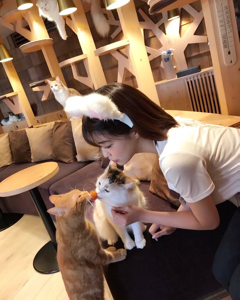 岸明日香
