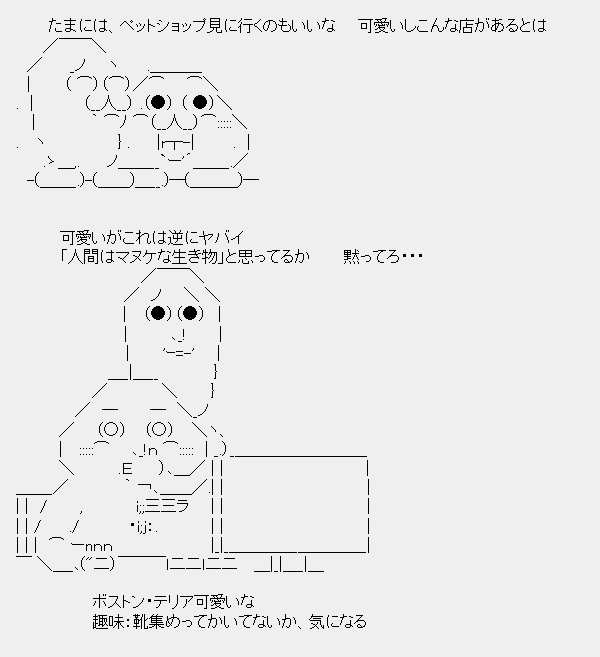 タコタ屋aa