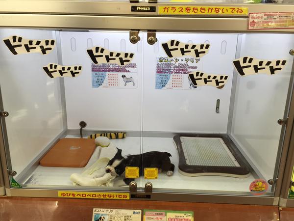 ジョジョ仕様
