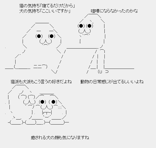 タコタ屋aa
