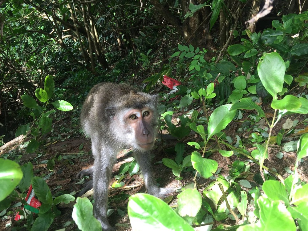 戸田れい