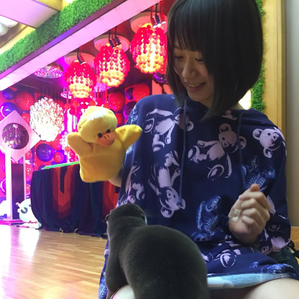 小島夕佳