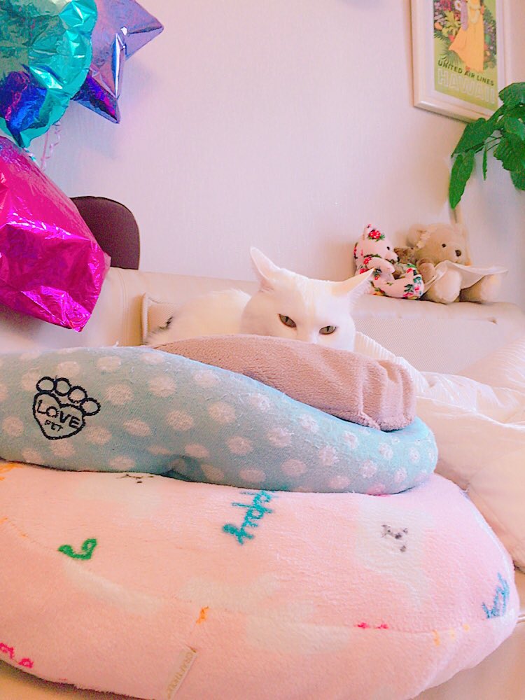 平塚奈菜