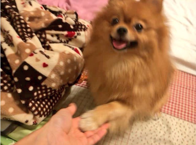 月野もあ