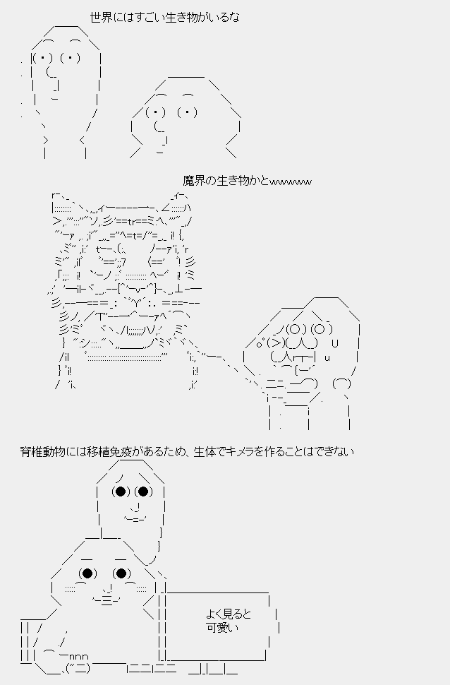 タコタ屋aa
