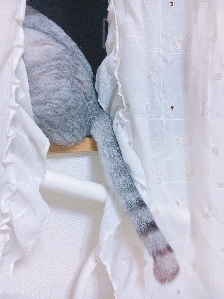 牧野紗弓