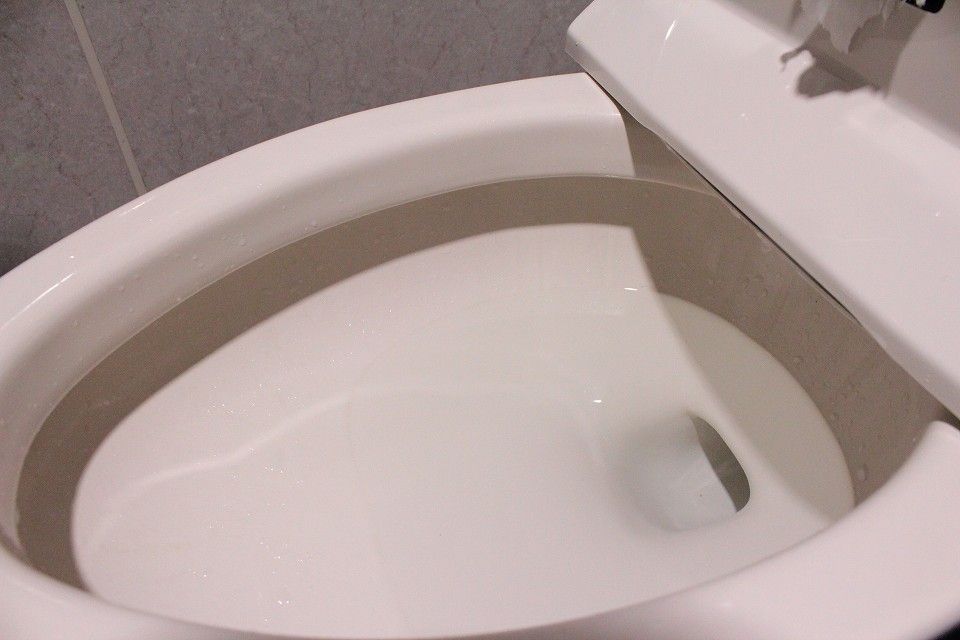 現代の子どもがトイレを流さなかった理由