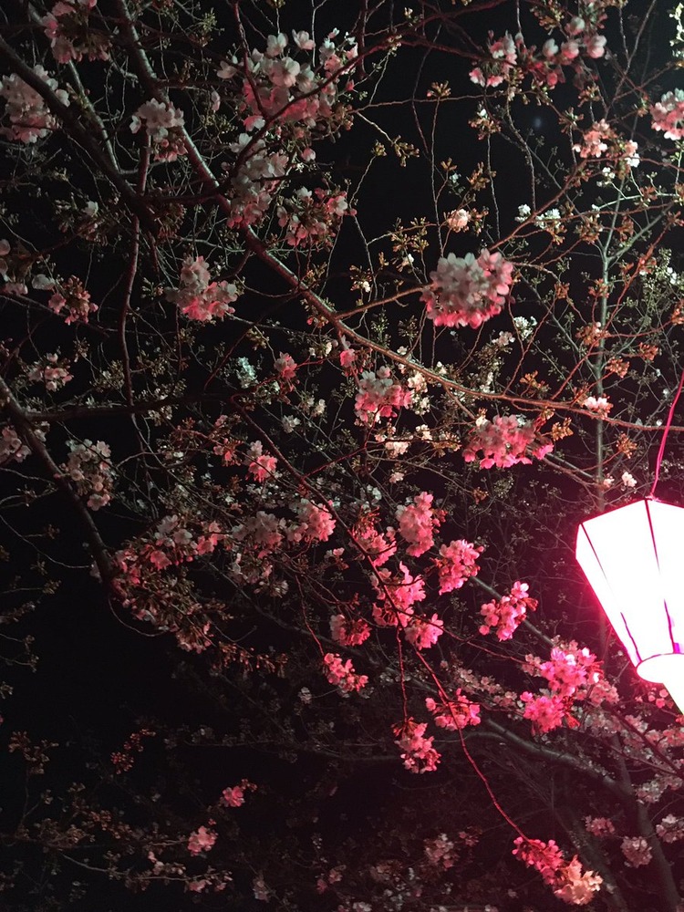 川村虹花