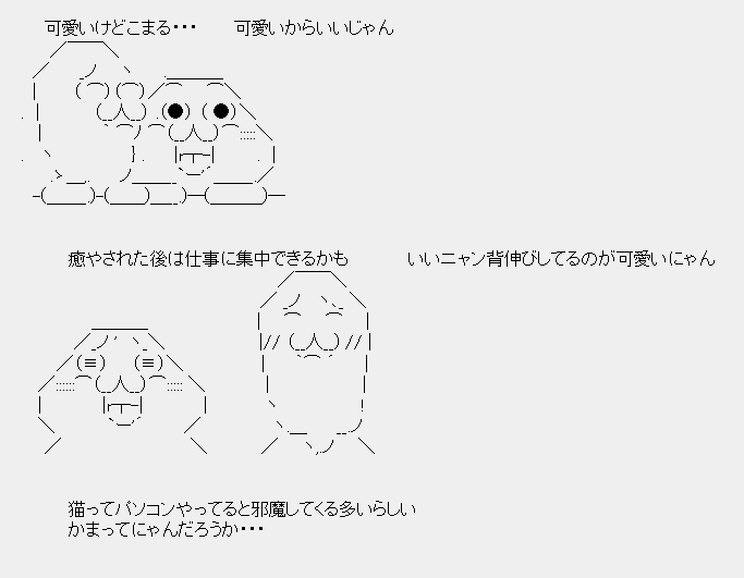 タコタ屋aa