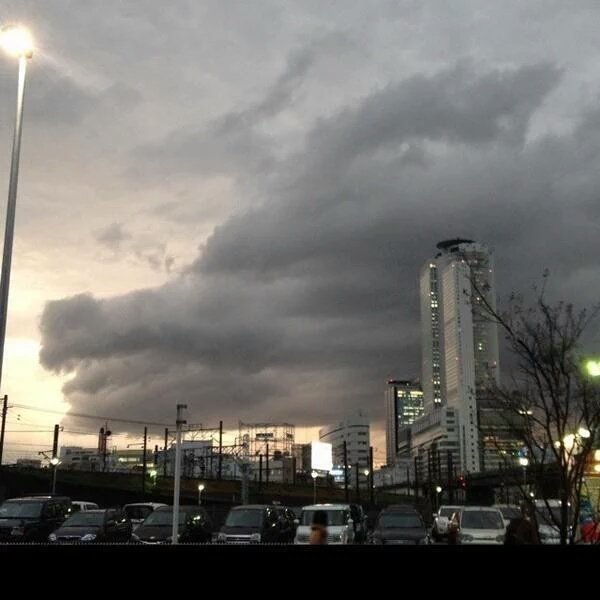 gazou