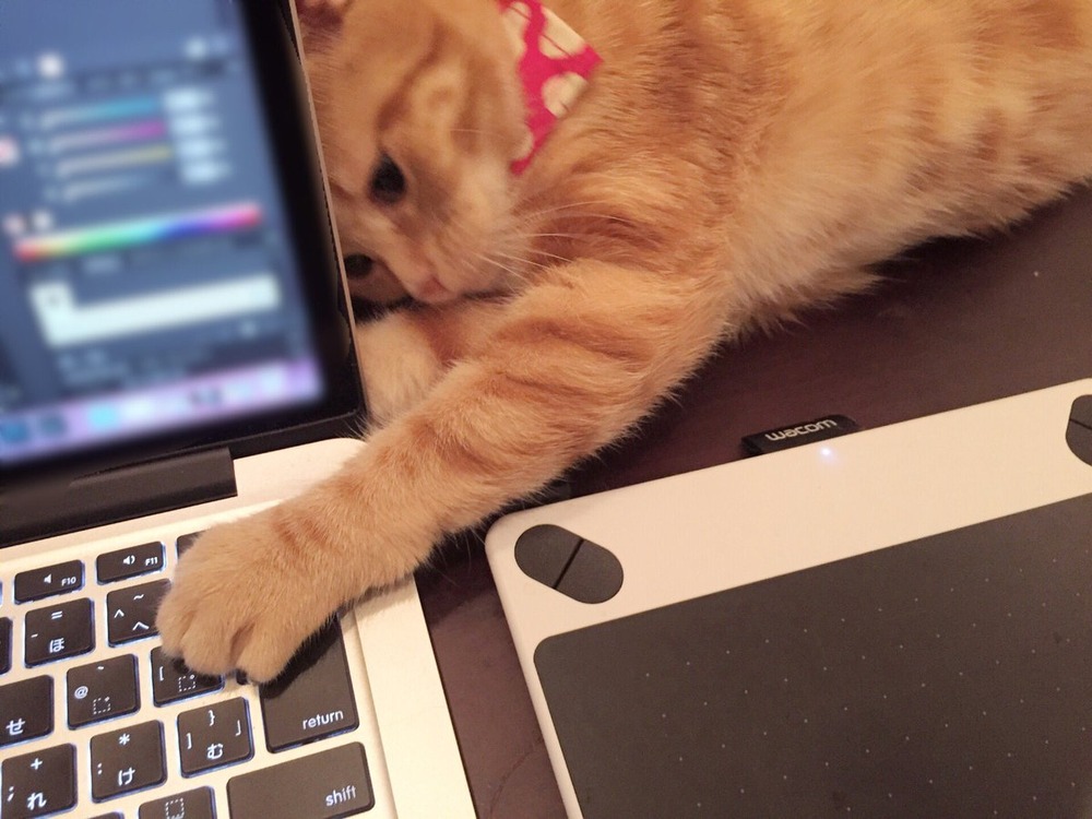 えなこ