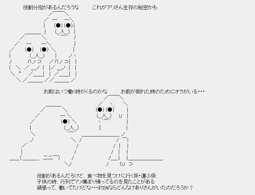 タコタ屋aa