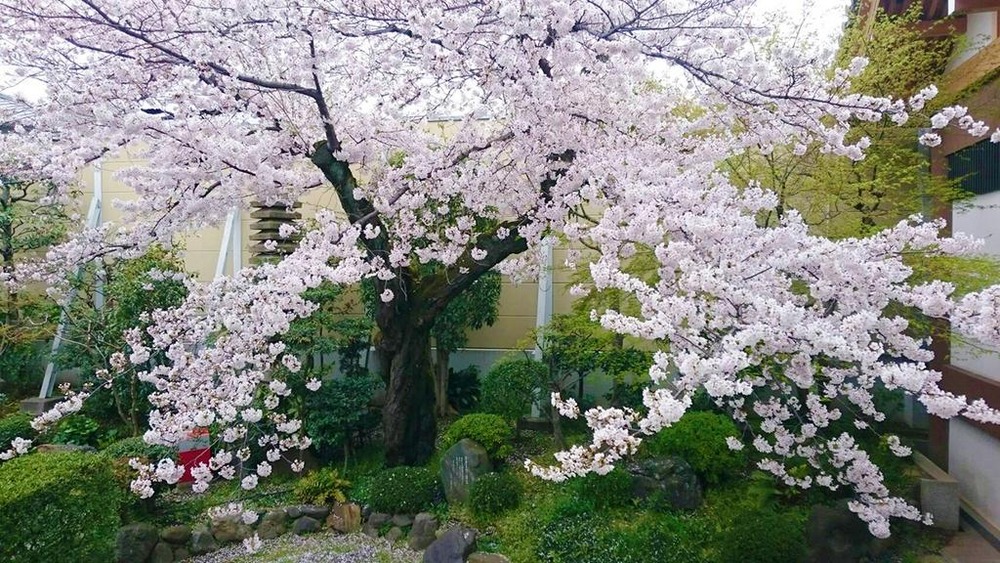 堀アキ