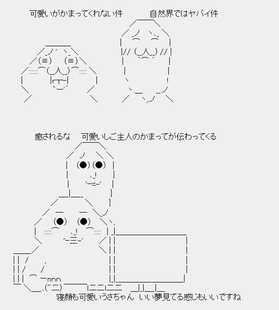 タコタ屋aa