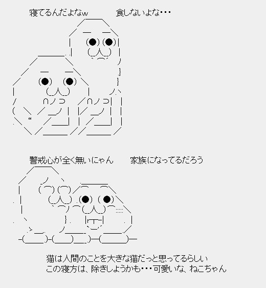 タコタ屋aa