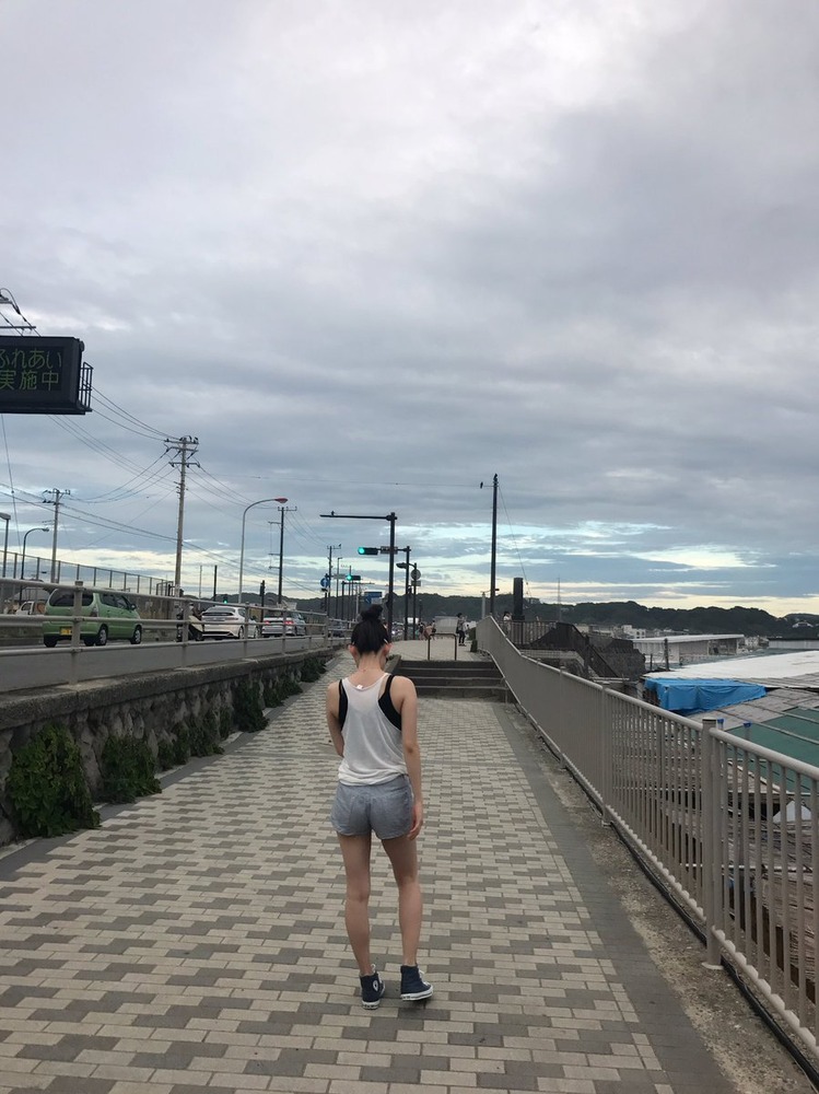 帆春