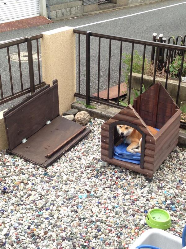 台風被害