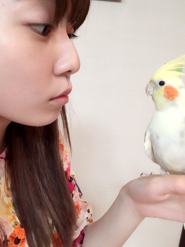 島崎 遥香