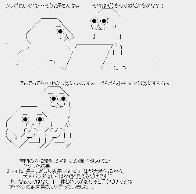 タコタaa