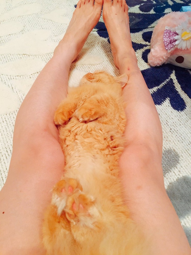 今野杏南