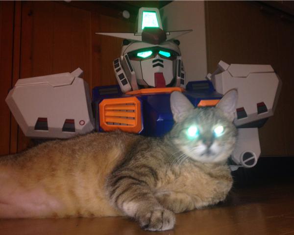 ガンダム　ネコ起動