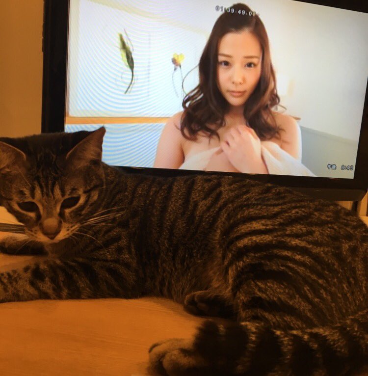 吉高寧々