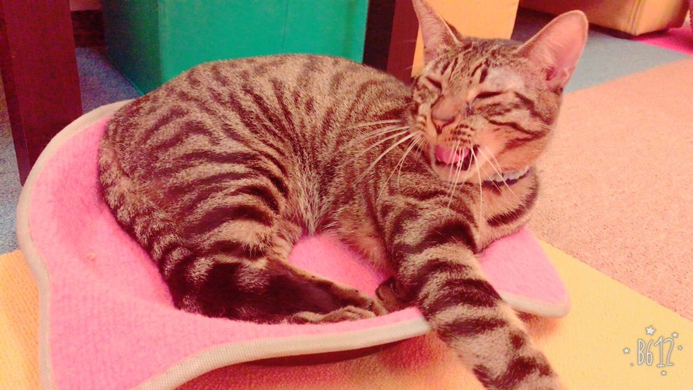 和地つかさ