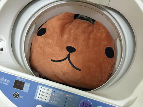 洗濯　可愛い