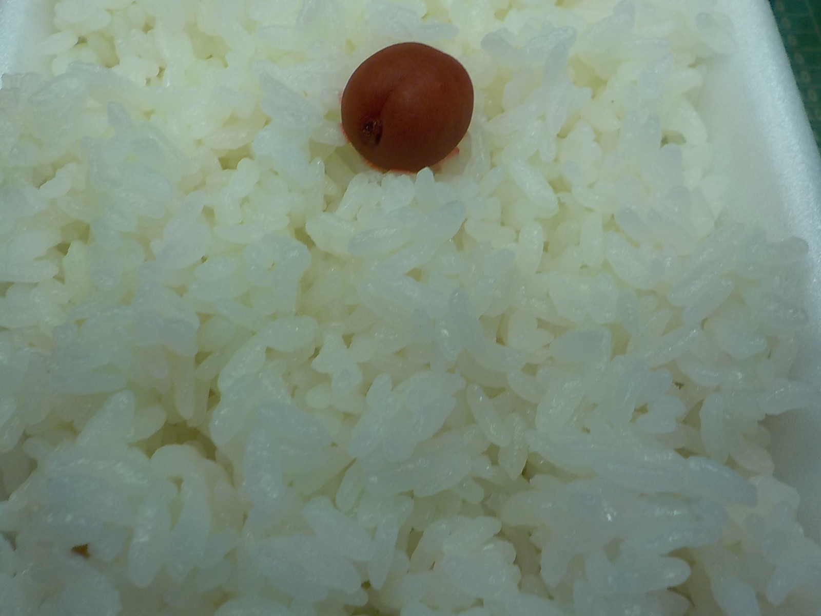 イメージ 8