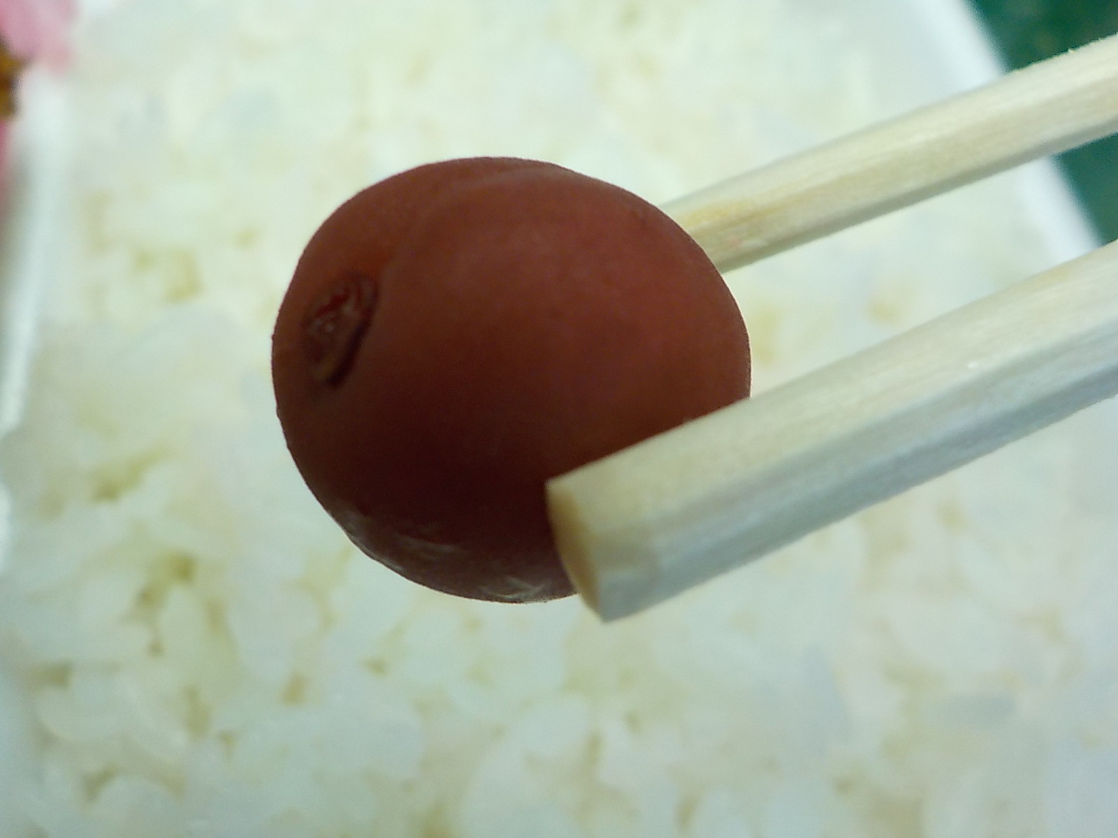イメージ 13