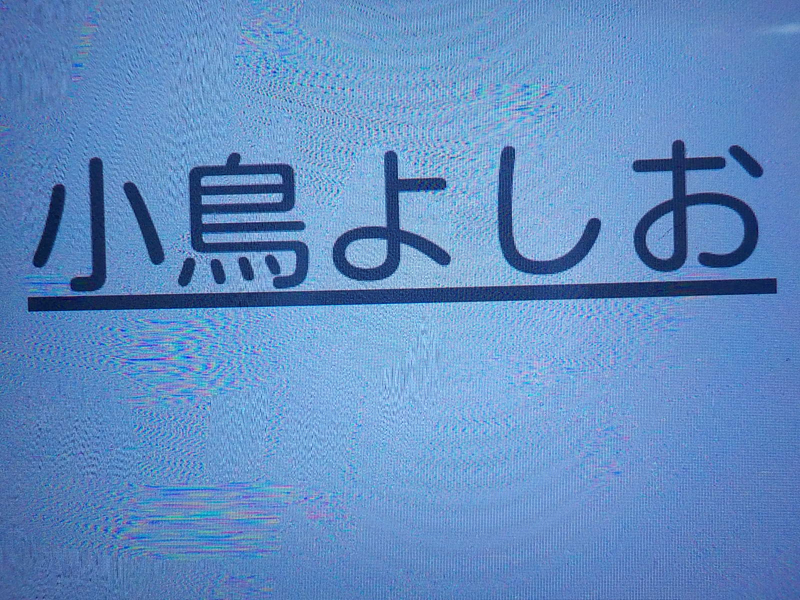 めた坊の独り言 漢字おかしいです めた坊の独り言 漢字おかしいです