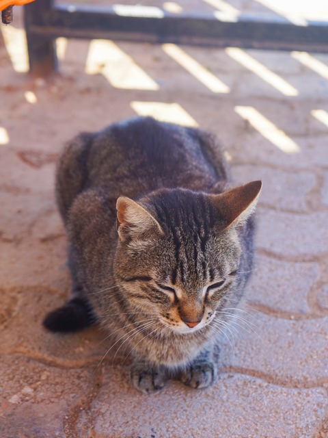 DSC05051
