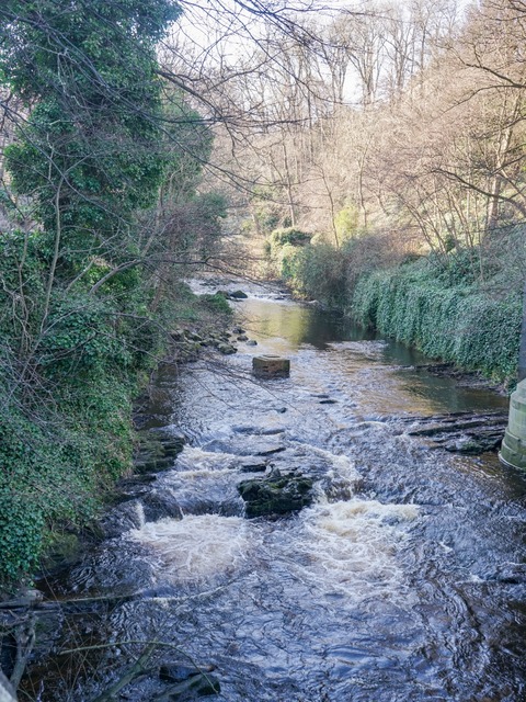 DSC05017