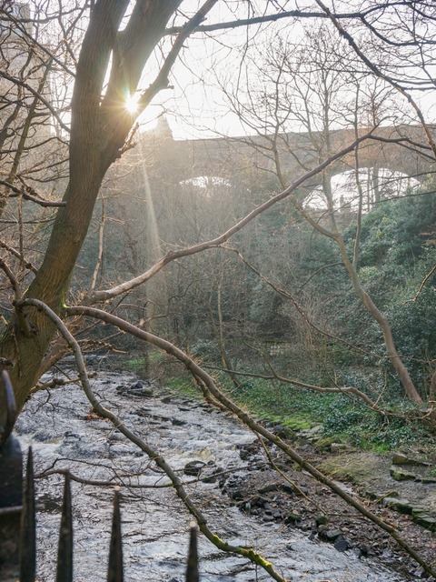 DSC05009