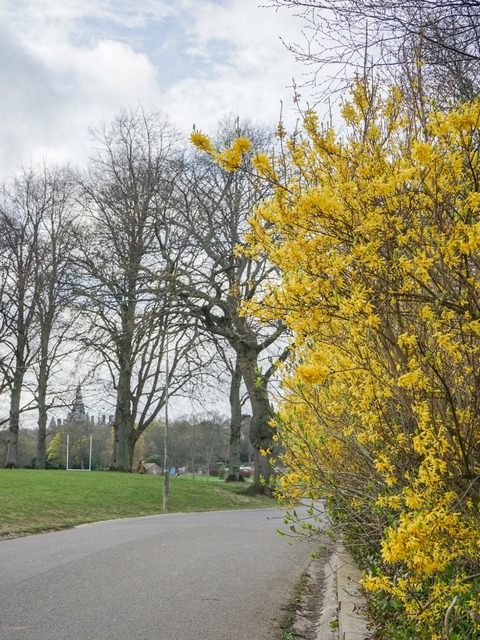 DSC09054