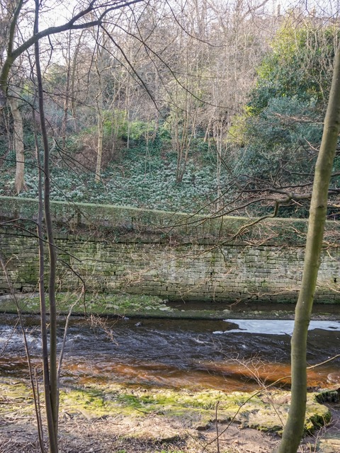DSC05004