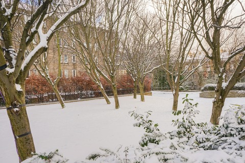DSC03354