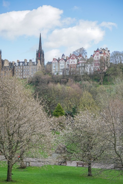 DSC09213