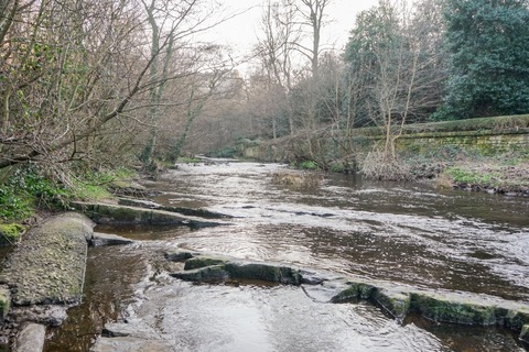 DSC05107