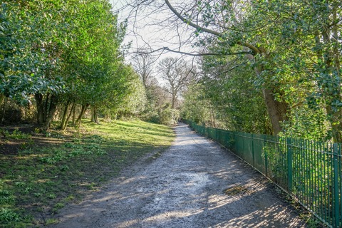 DSC06513