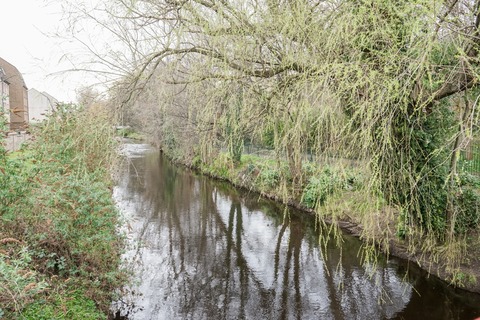 DSC08170