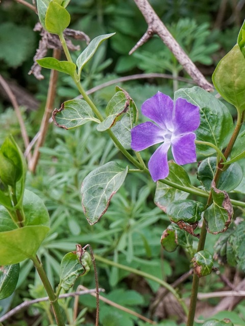 DSC08191